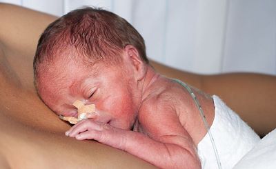 iStock_000018344091_hansenn
