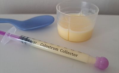Kolostrum_Zufütterung ©N. Groiss (1)